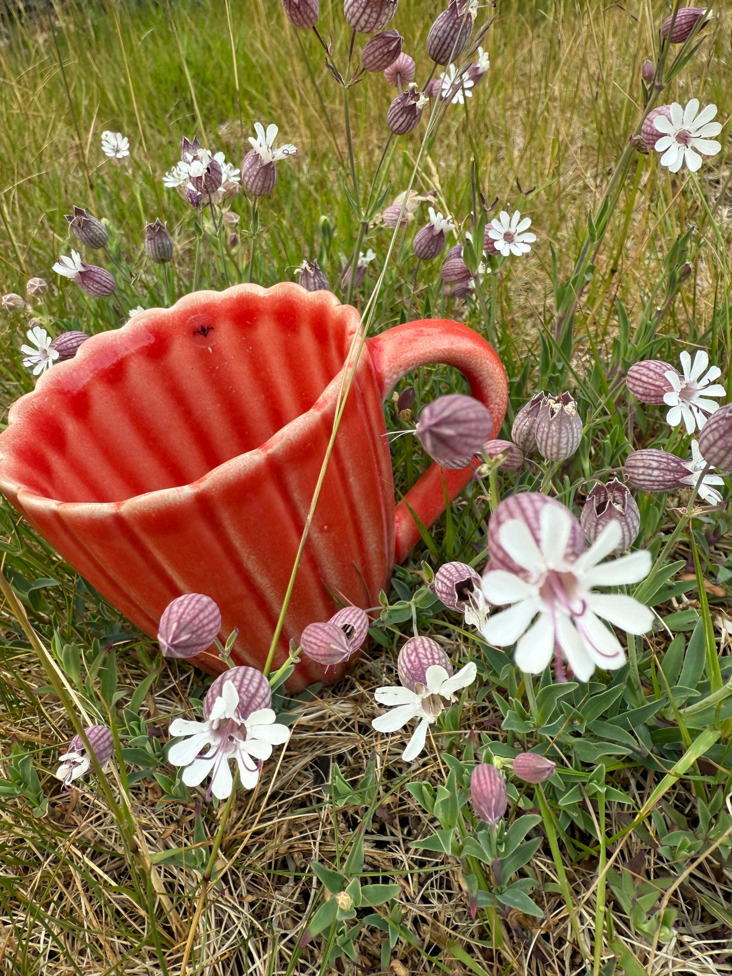 HULDRA kaffekopp koralrød