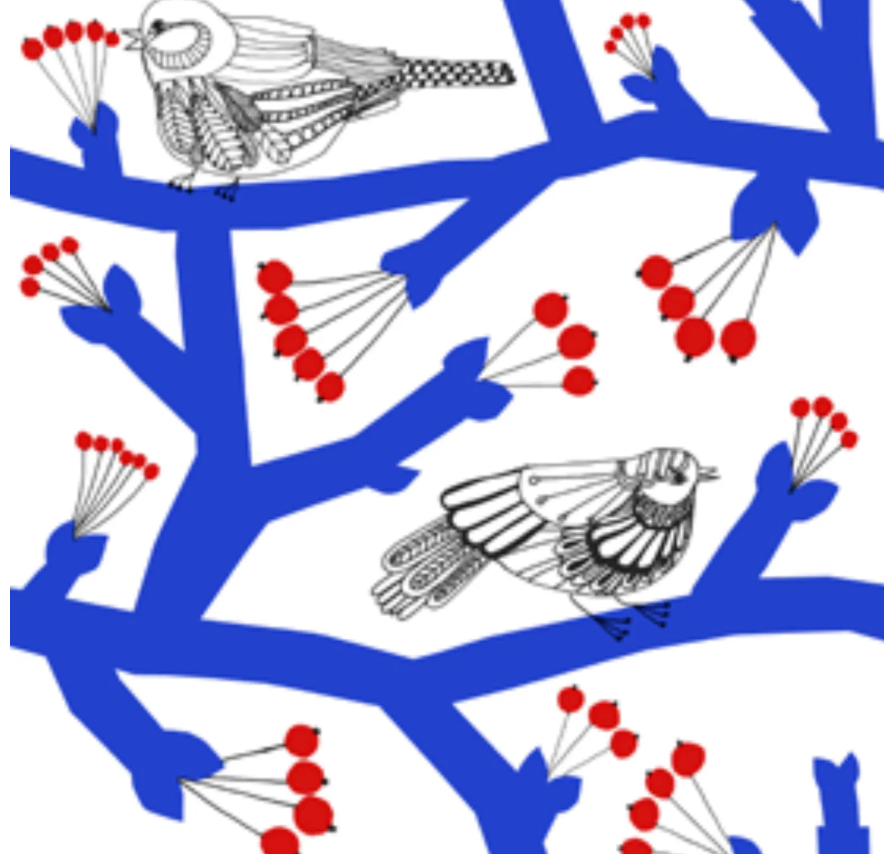 Marimekko Pakkanen blue red lunch